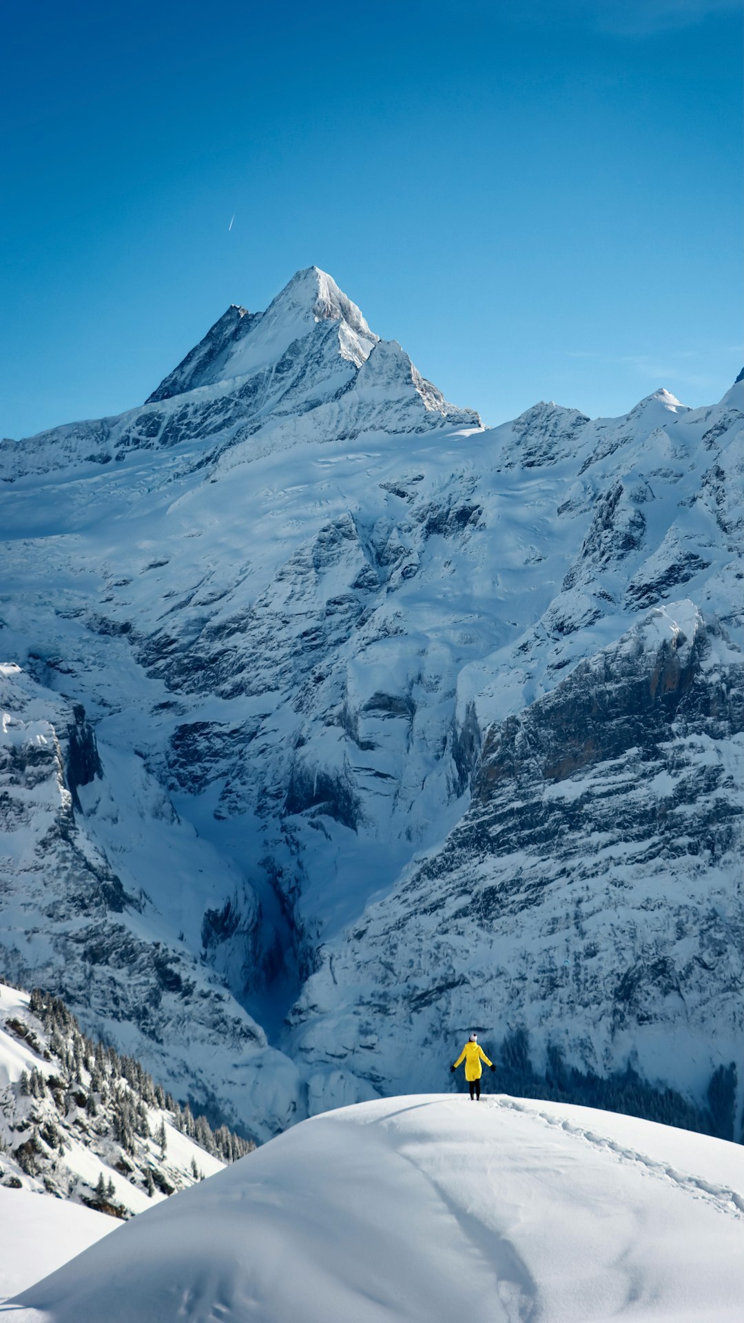 Skier descending a sunny groomed slope in the Swiss Alps