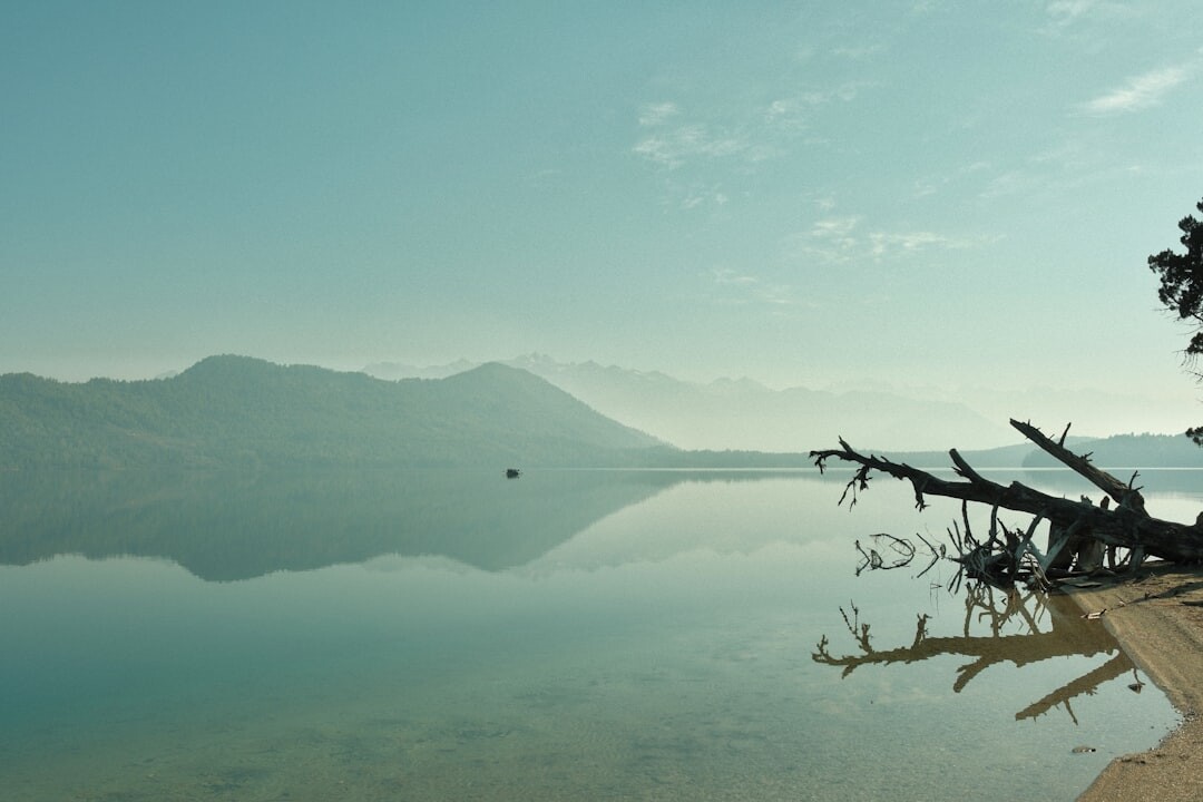 director by quiet lake