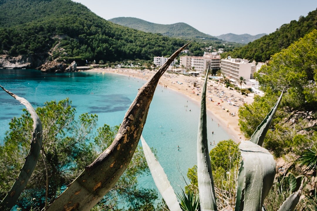 ibiza beach club